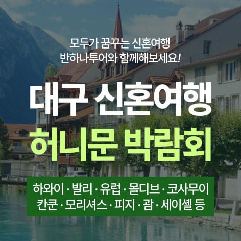 대구 반하나 허니문박람회 (09.05~06) - 대구 웨딩박람회